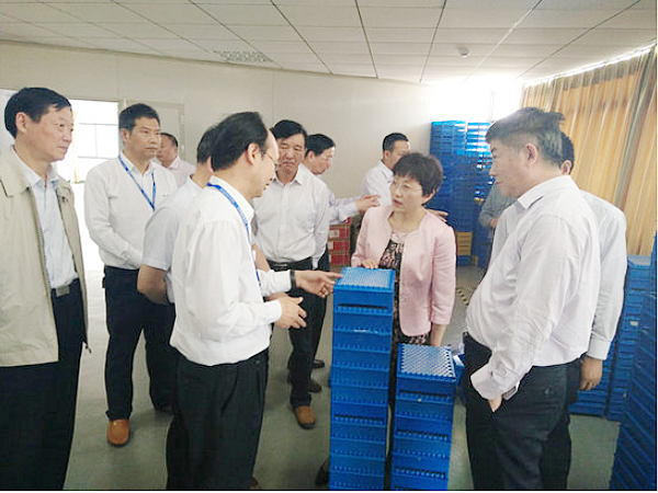 15597876117600.png 2017050916050518518.png