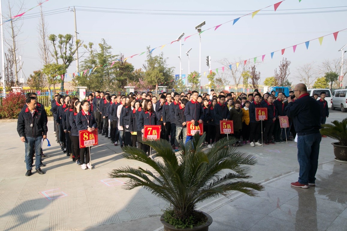 15597909366537.jpg 203.jpg