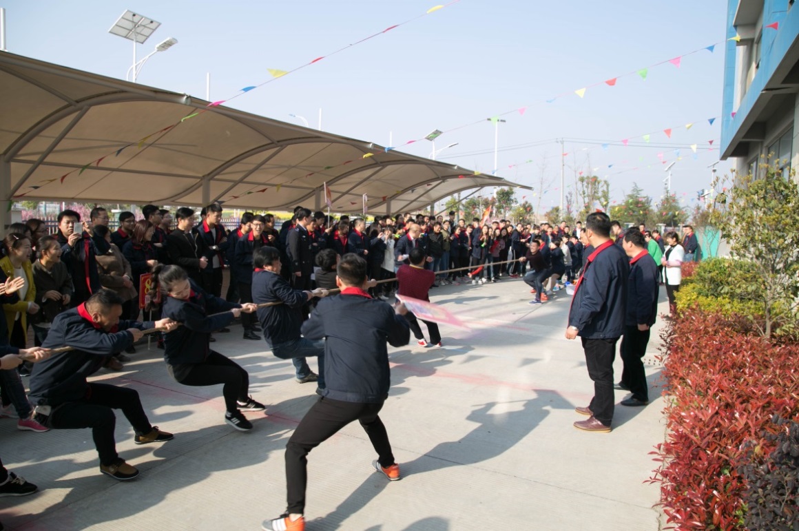 15597909496533.jpg 204.jpg