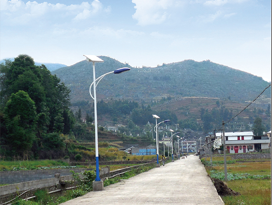 The Pan County Project in 2013