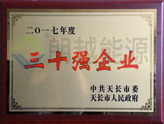 Top 30 enterprises