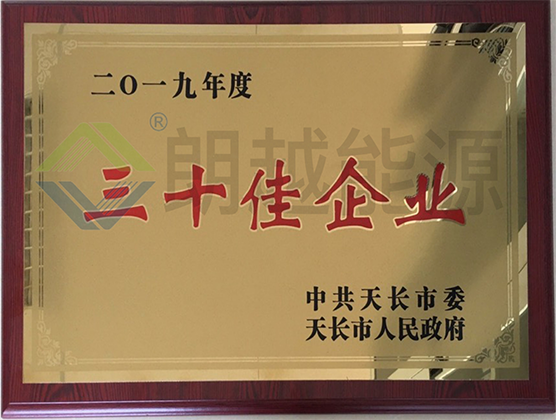Top 30 Enterprises