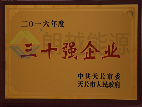 Top 30 enterprises