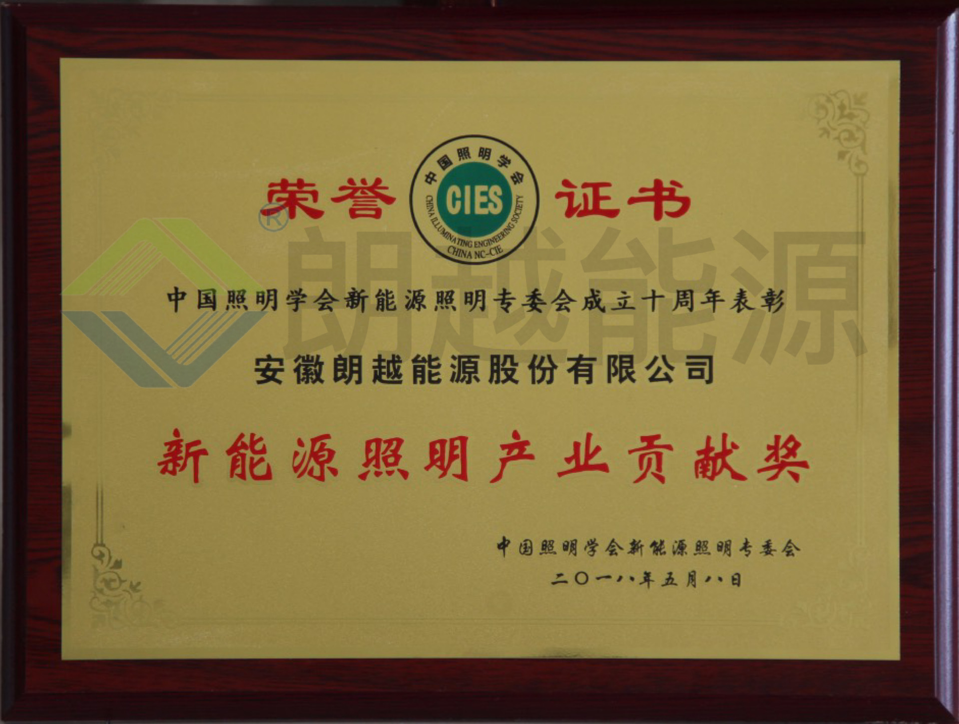 Contribution Award for the New Energy Lighting Industry